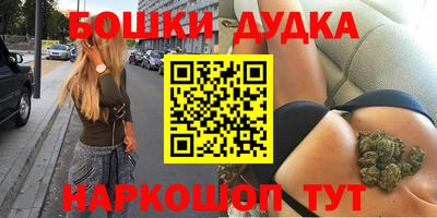 шишки Будённовск