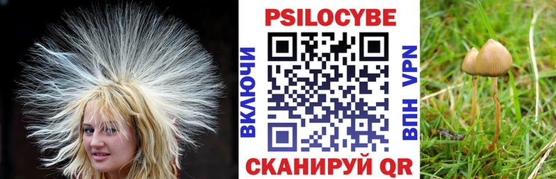 Псилоцибиновые грибы прущие грибы  закладка  Мыски 
